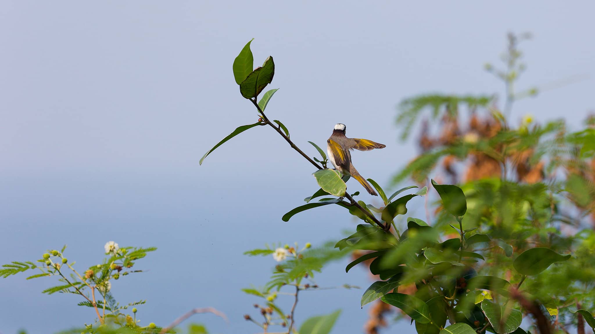 06a - Ile de Liuqiu (8).jpg